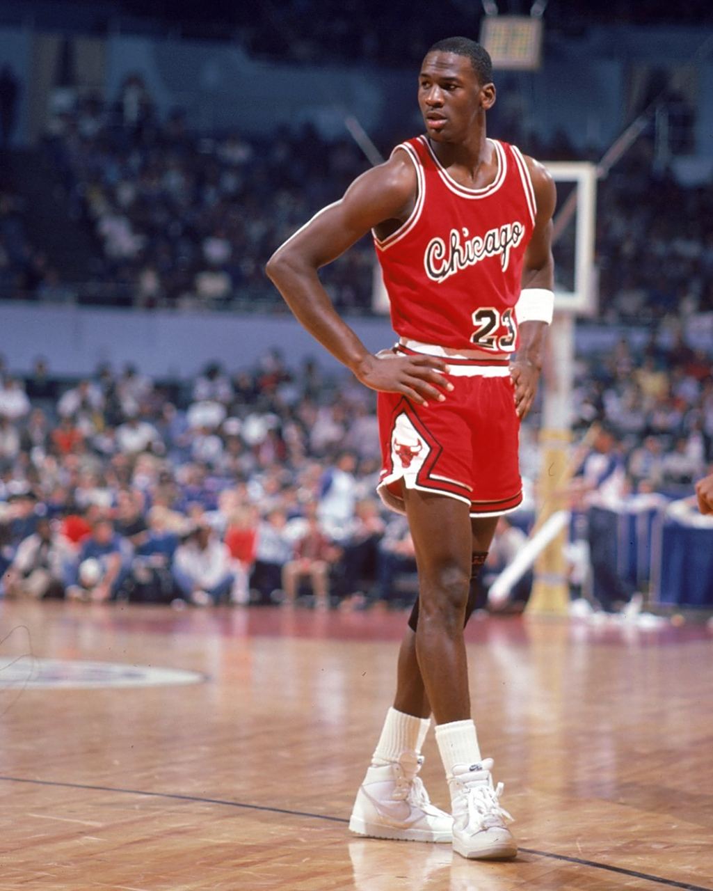 坚定的力量 坚定的力量