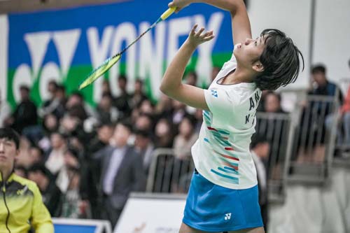 球迷也将会 球迷也将会